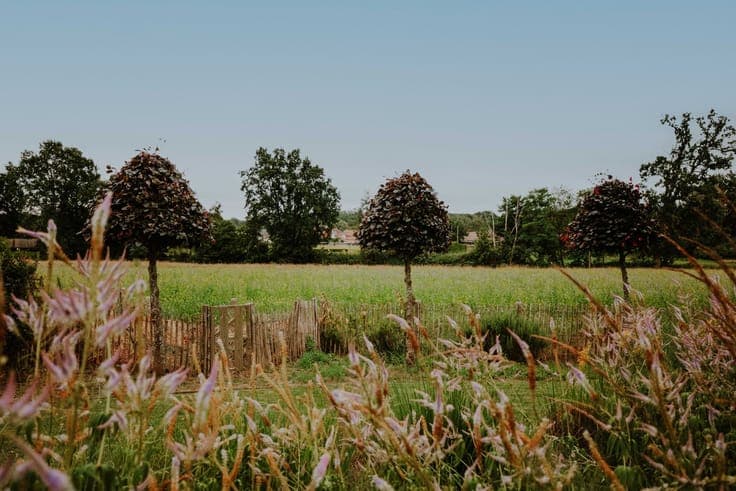 Ruime woning met grote tuin