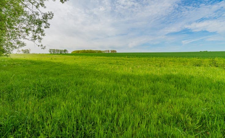 Villa with great potential on large plot in Lennik