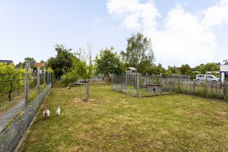 Te renoveren woning op den buiten met veel ruimte en tuin