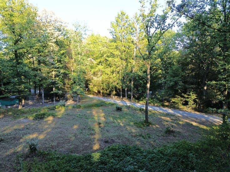Plot
