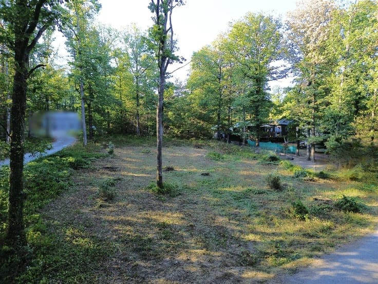 Plot