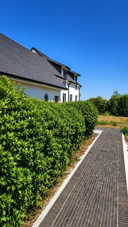 **Character property on 8,568 m² in Wortegem-Petegem**
I...