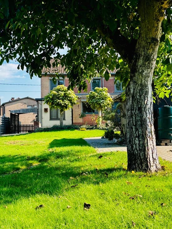 Move-in-ready home with 4 bedrooms and a spacious garden