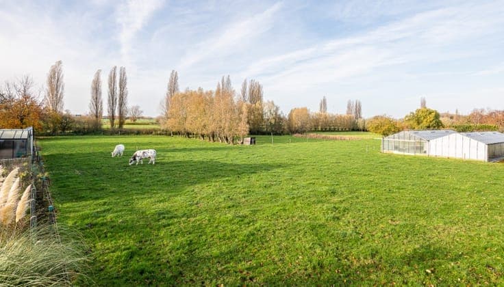 Bouwgrond voor nieuw te bouwen villa in Landegem