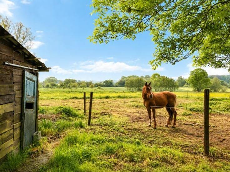 Charming manor house with character and great potential!
