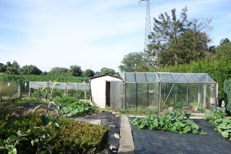 House in Ninove