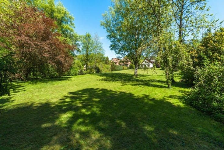 Charm, peace and views over the woods