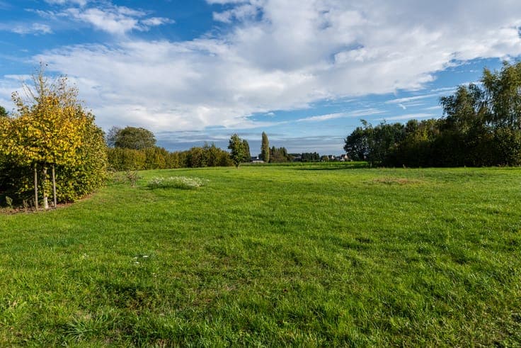 Country villa on an exceptional plot with swimming pond