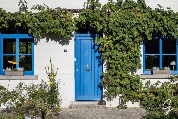 UNIQUELY LOCATED FARMHOUSE ON 1.1 HA