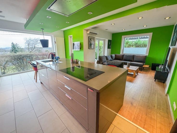 DELFIMMO - SUPERBE VILLA AVEC SALLE DE CINEMA !