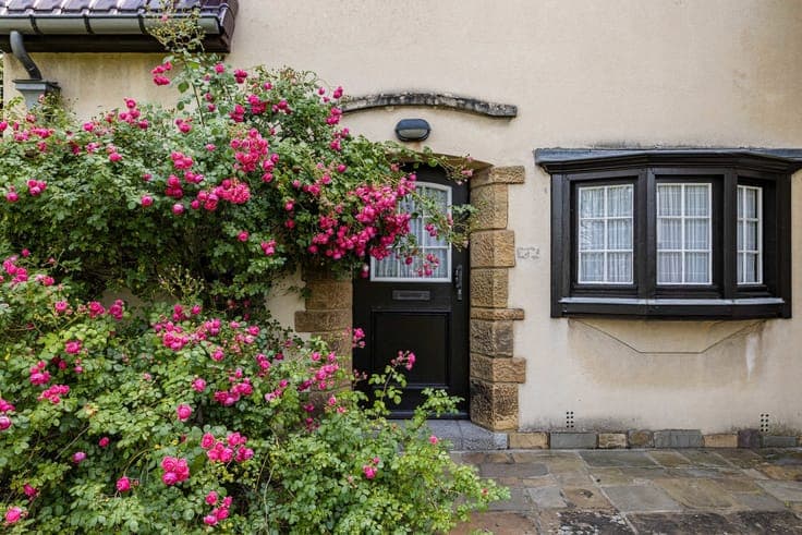Charming house for sale in a unique place in Geraardsbergen