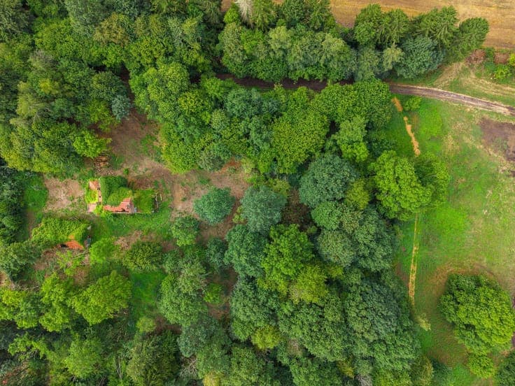 Brabant Wallon I La Hulpe
