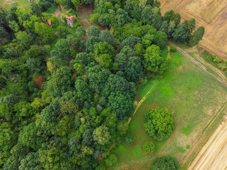 Brabant Wallon I La Hulpe