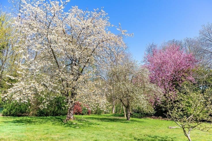 Kauwberg - Exceptional property in a unique natural setting