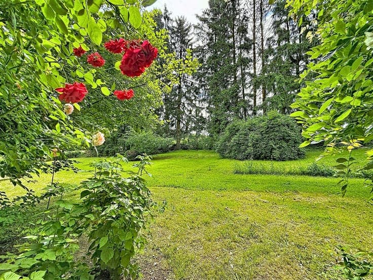 CHARACTERFUL HOME IN THE HEART OF THE COUNTRYSIDE – 4 BEDROO