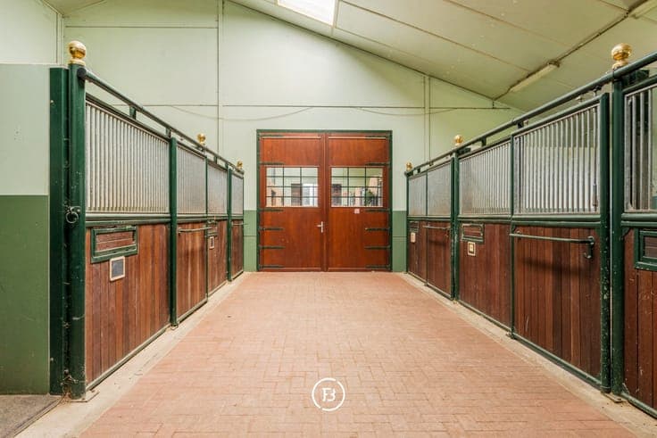 Exceptional Equestrian Estate