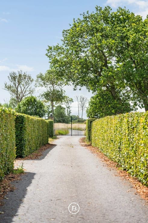 Exceptional Equestrian Estate
