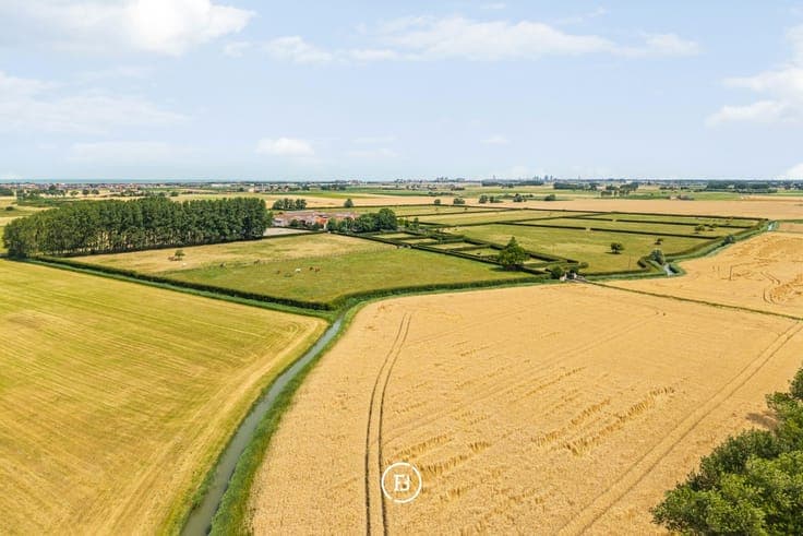 Exceptional Equestrian Estate