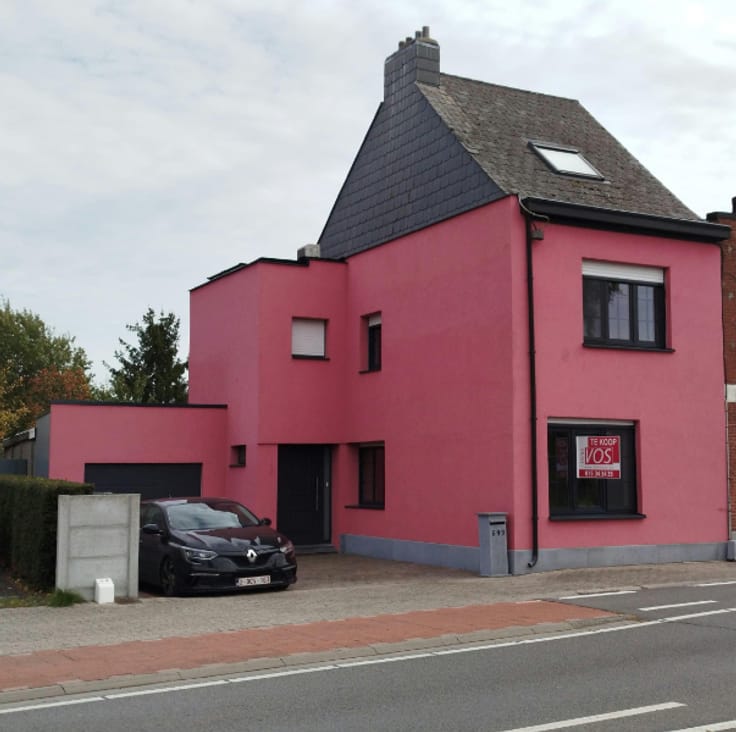 5-slaapkamerwoning, Muizen