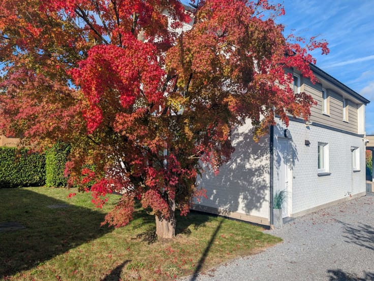 3-slaapkamerwoning, Braine-l'Alleud