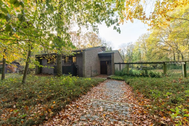 House for renovation on exceptional plot