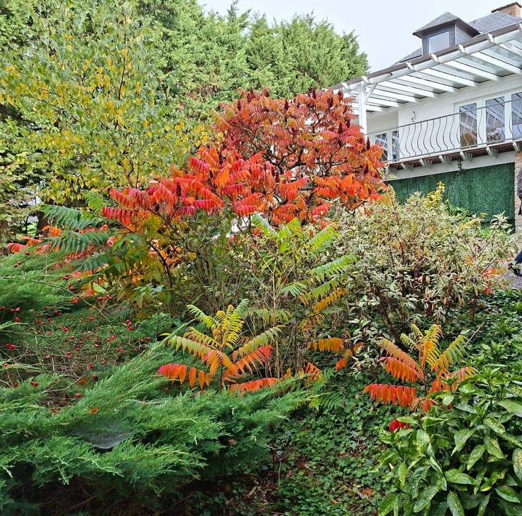 5-slaapkamerwoning met tuin, Ham-sur-Heure-Nalinnes