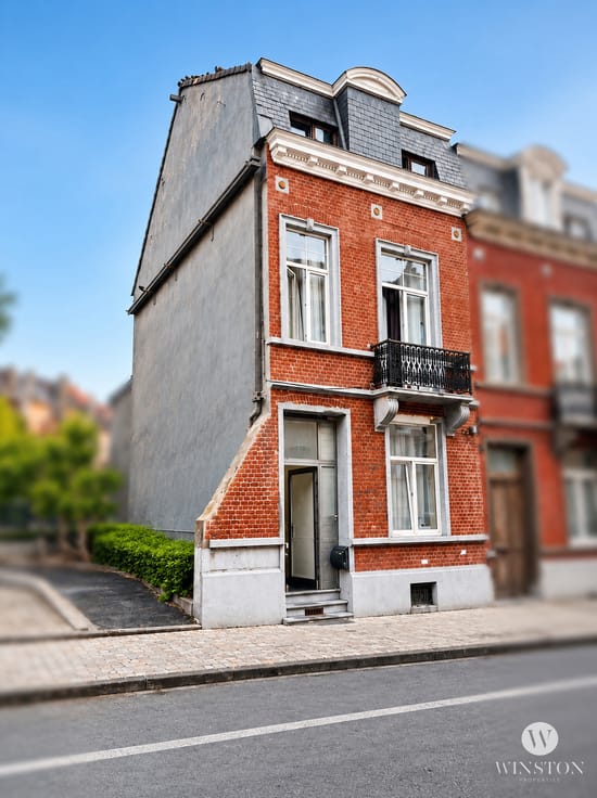 4-slaapkameropbrengsteigendom met tuin, Ixelles